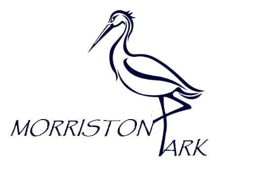 Morriston Park Nursing Home