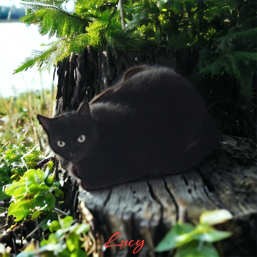 Lucy