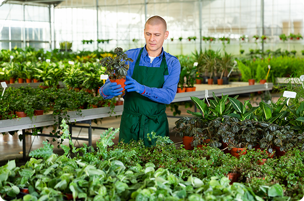 Florist man