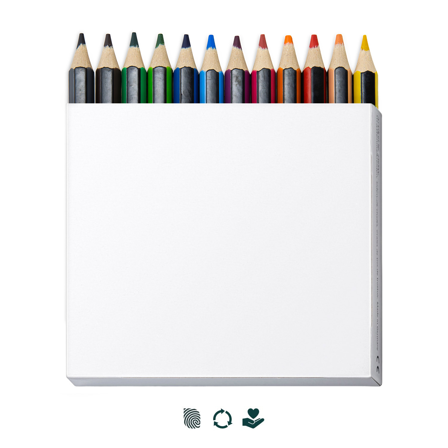 STAEDTLER Colouring Pencil  x12 133620
