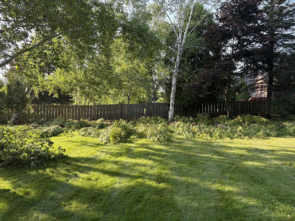 https://0901.nccdn.net/4_2/000/000/038/2d3/18--before-.jpg