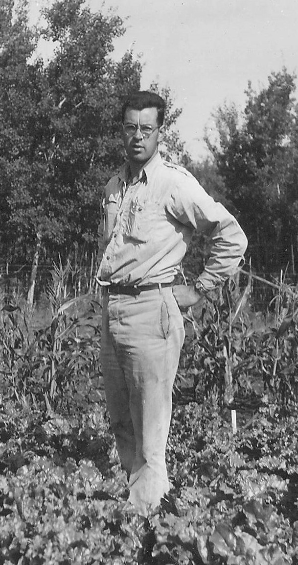 This Gentleman appears to be an employee of the Fort Vermilion Experimental Farm. In this shot he stands amongst a crop of beets. The photo is dated August 19, 1950 - anyone recognize him?
2010.80.15 / Fort Vermilion Experimental Farm