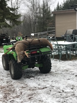 https://0901.nccdn.net/4_2/000/000/038/2d3/2020-ontario-whitetail-deer-hunt-wild-north-outfitters.jpg..jpg