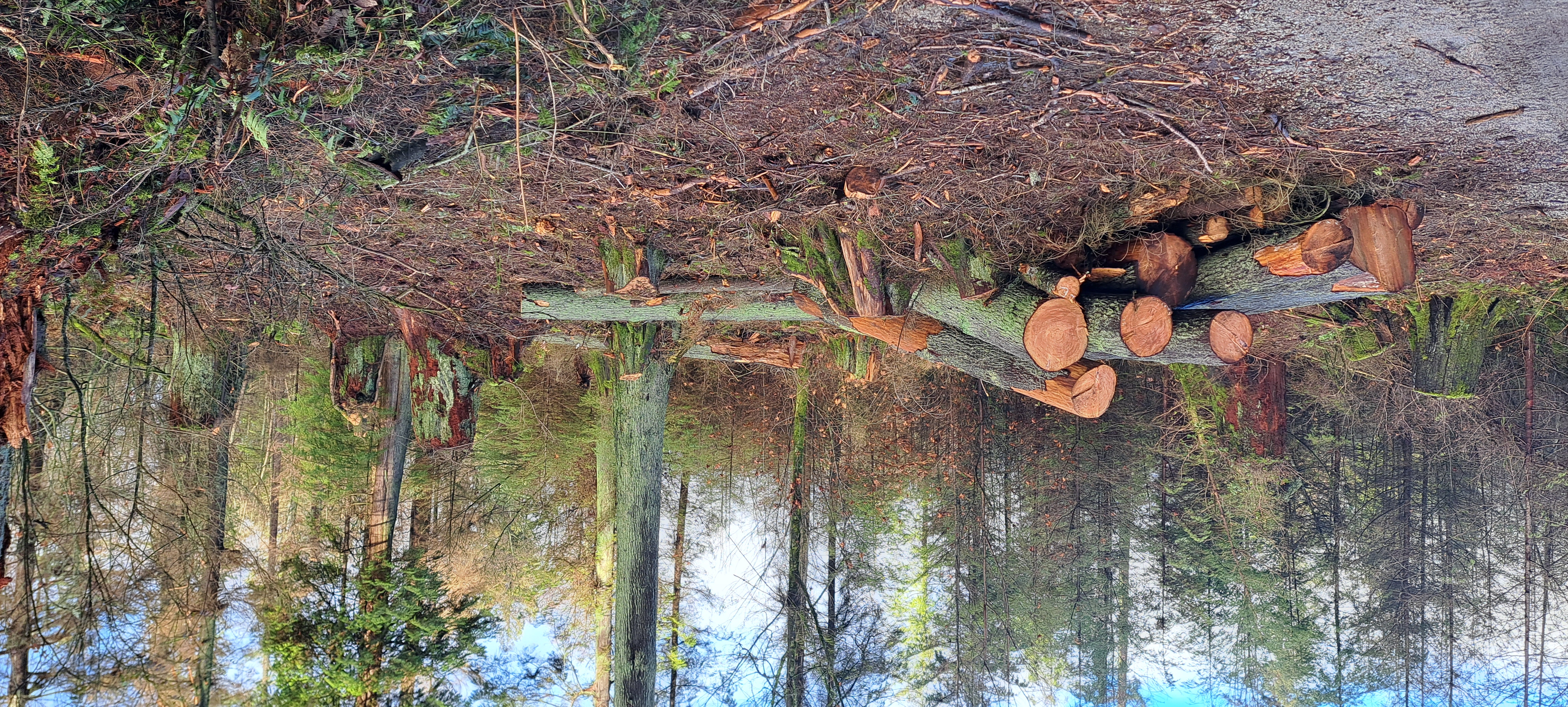 Modern living room with a large landscape painting featuring mountains and a winding river, surrounded by elegant furniture and green plants.