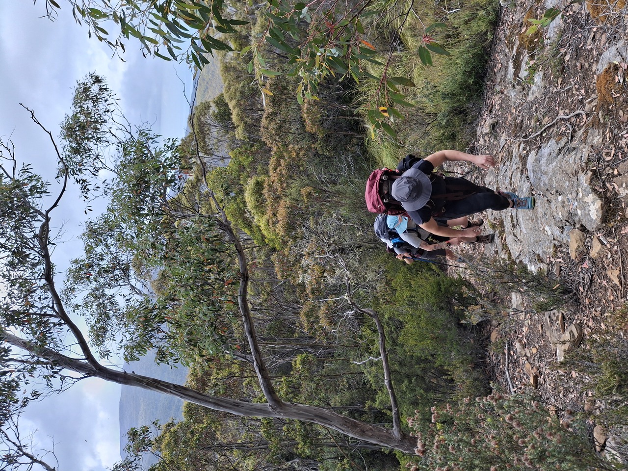 Hiking