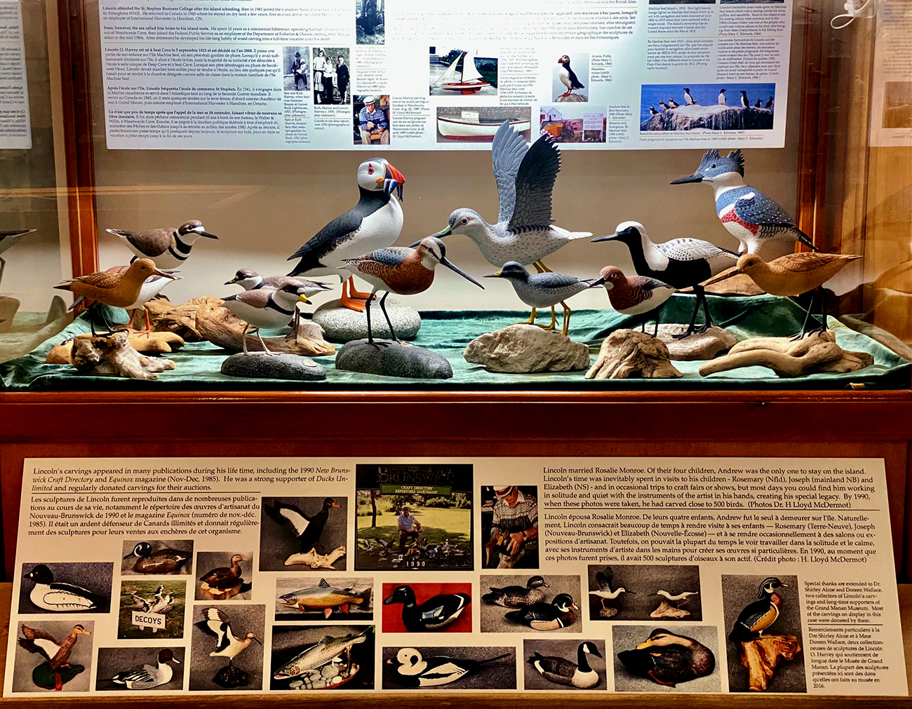 Display case of Lincoln Harvey's Bird Carvings from the Museum's Collection.
