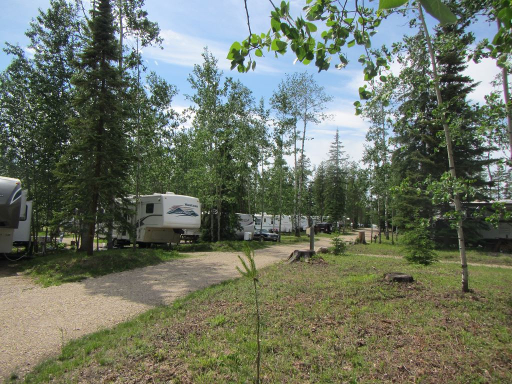 https://0901.nccdn.net/4_2/000/000/038/2d3/990000610-Camp-Tamarack-LDP-6--1--1024x768.jpg