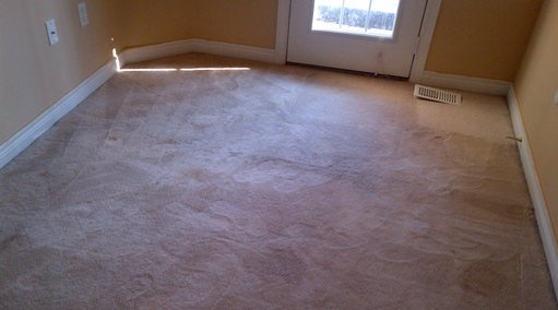 before carpet cleaning