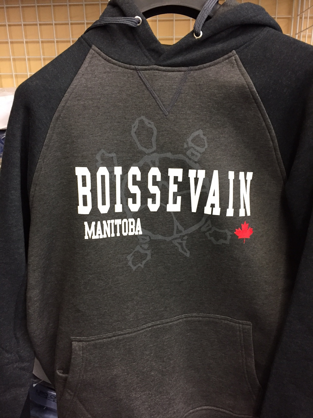 https://0901.nccdn.net/4_2/000/000/038/2d3/Boissevain-vintage-hoodies-new-logo-1224x1632.jpg