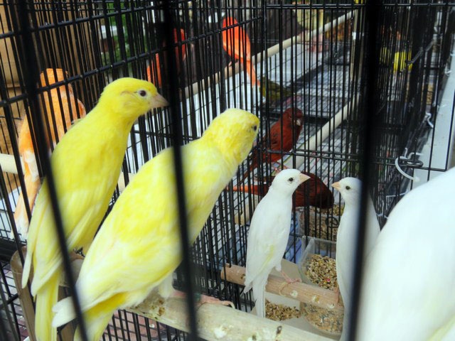 https://0901.nccdn.net/4_2/000/000/038/2d3/Display_201614-640x480.jpg