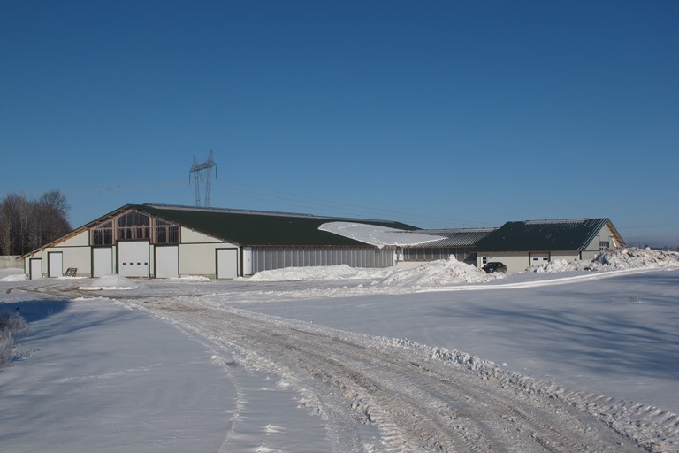 2014 Dundee - Dairy barn