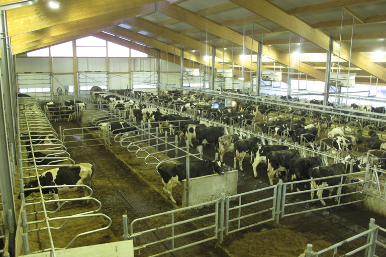 2014 Casselman - Robot dairy barn