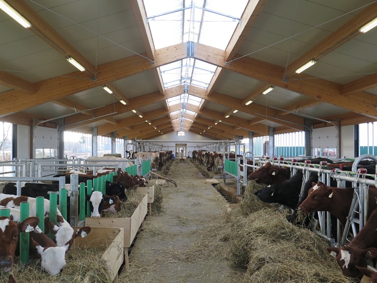 2015 Vankleek Hill - Dairy barn