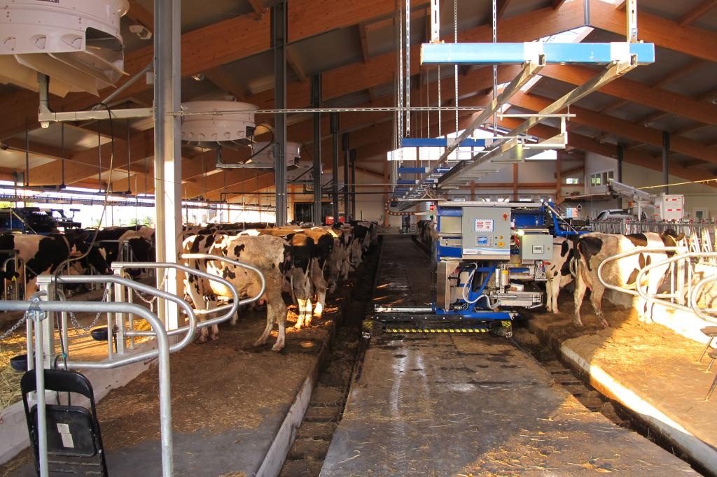 2014 Casselman - Robot dairy barn