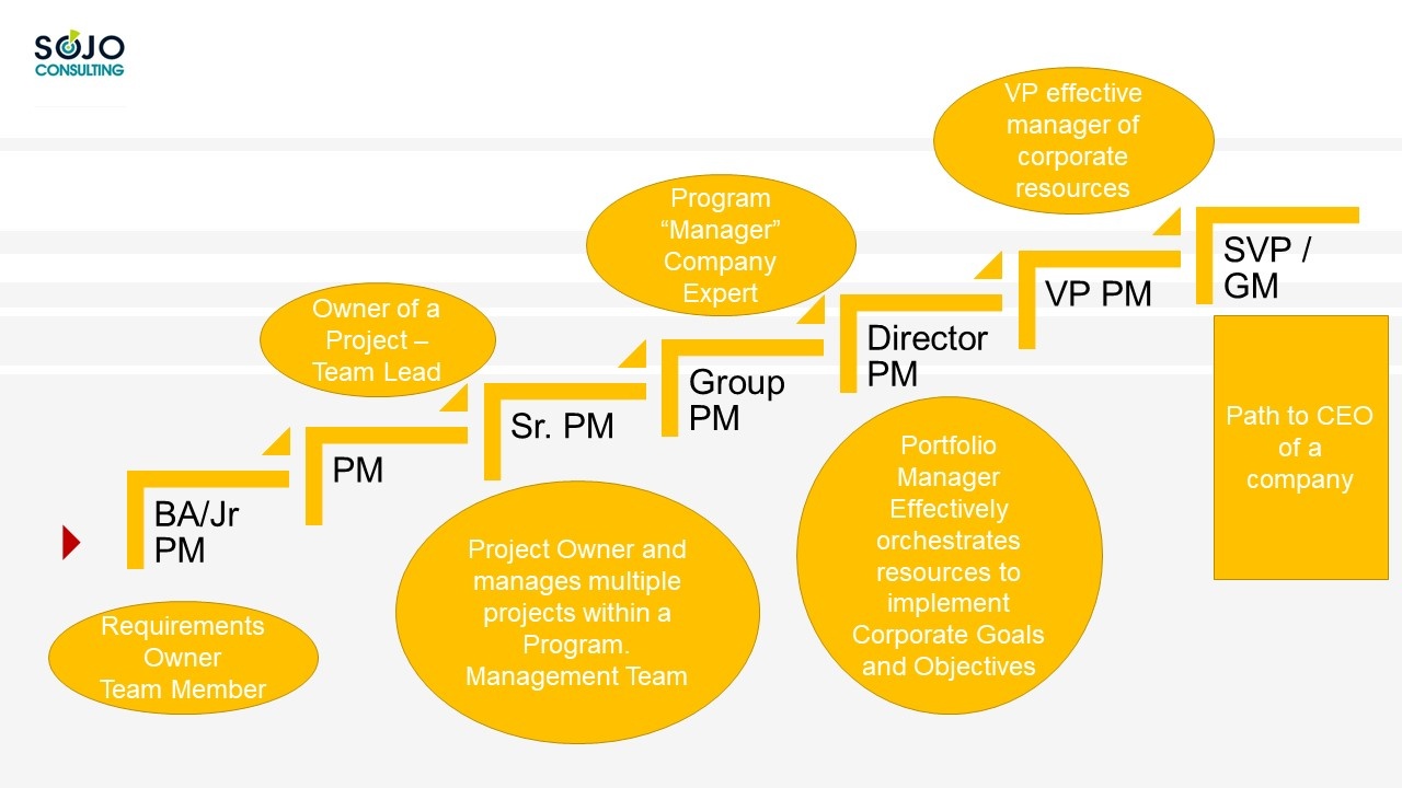 Why Project Management????