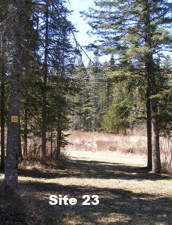 Site 23 - Tent Site