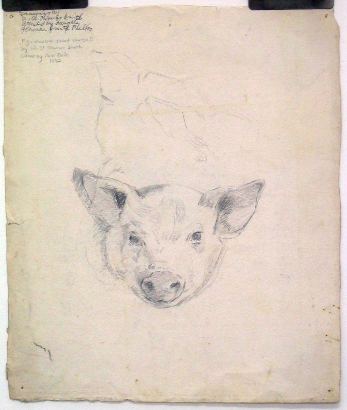 Sketch, Pig, Graphite on paper
