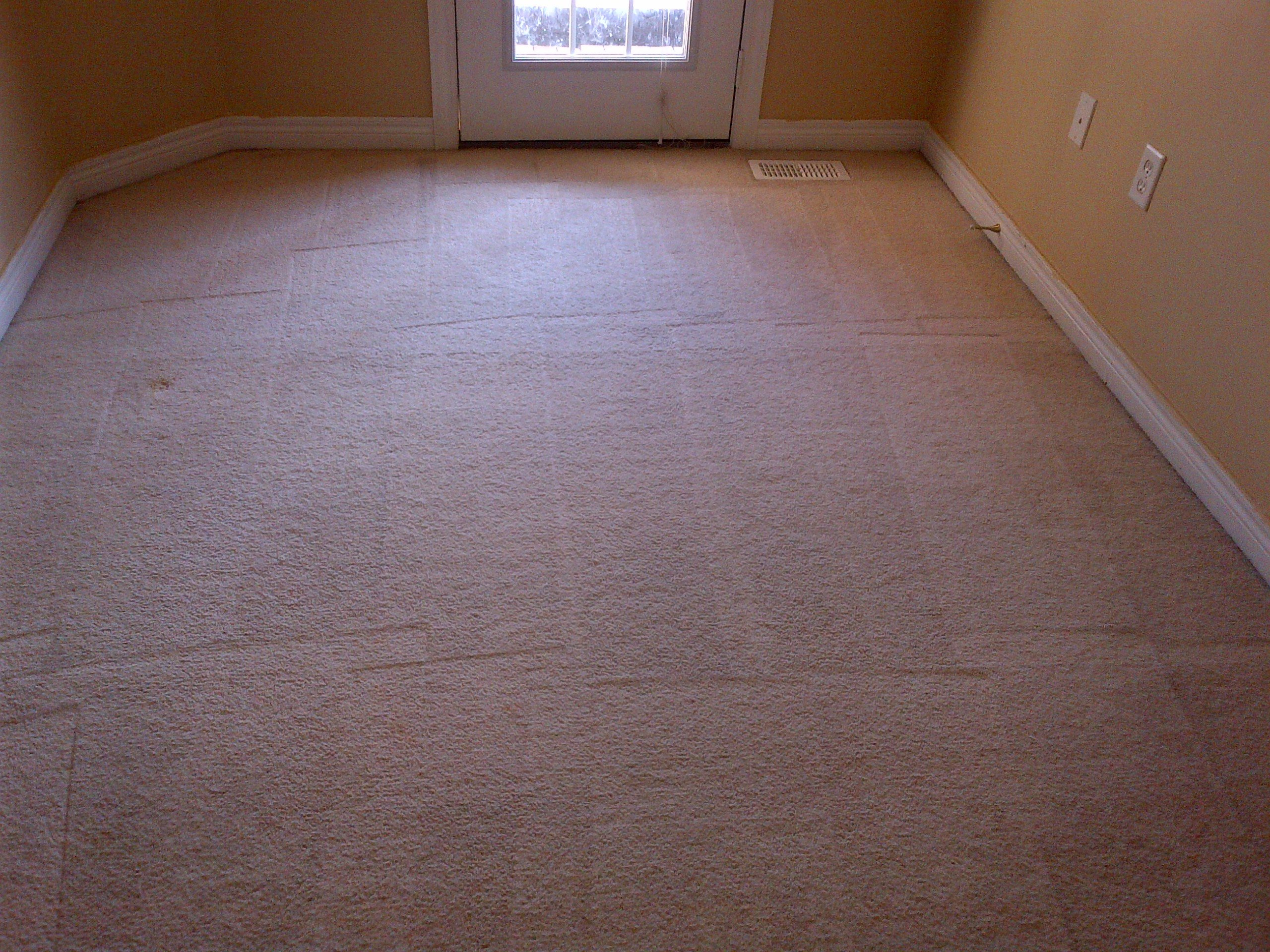 after carpet cleaning