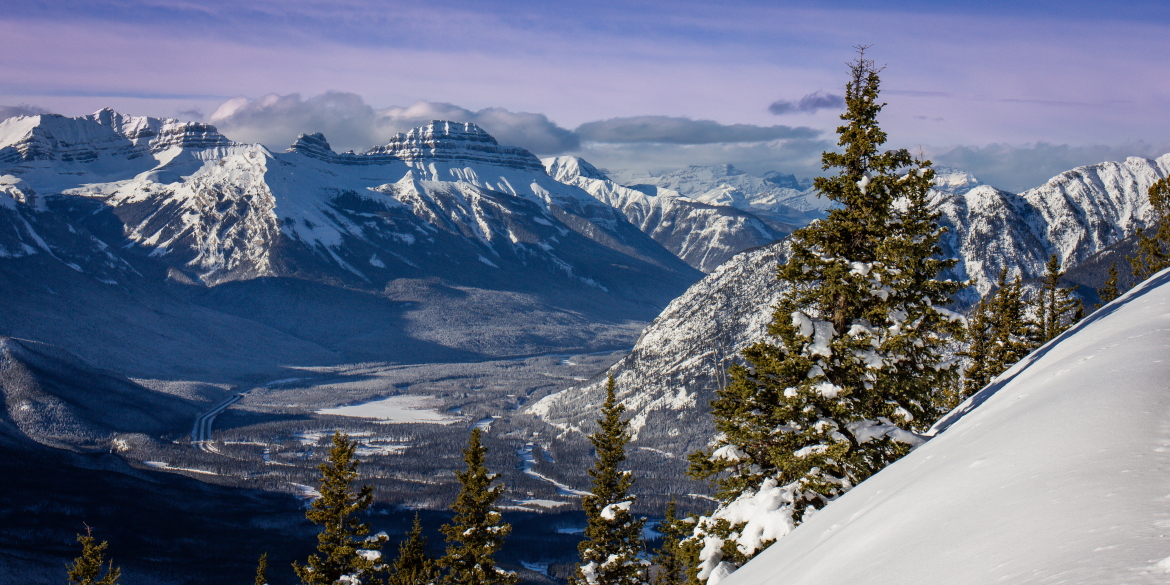 "Approach"
Limited Edition Print