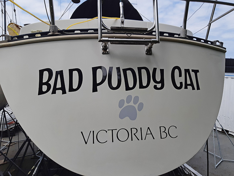 https://0901.nccdn.net/4_2/000/000/038/2d3/bad-puddy-cat.jpg