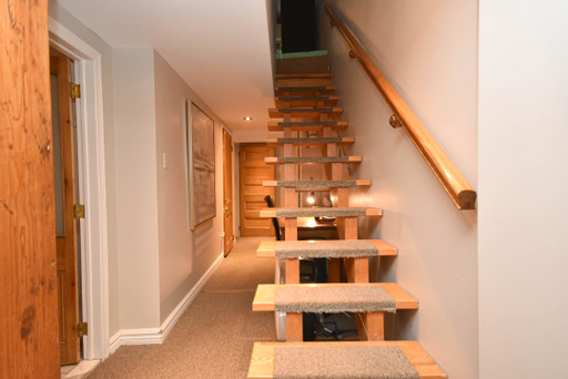 https://0901.nccdn.net/4_2/000/000/038/2d3/brown-lower-level-stairs.jpg