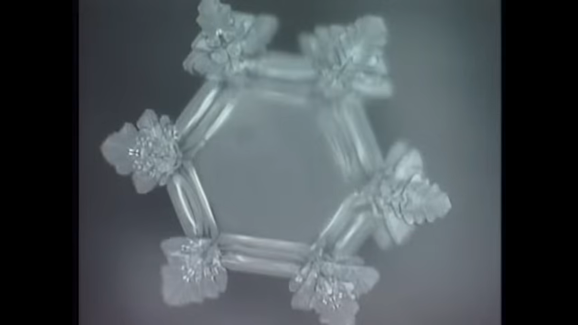 Un cristaux d'eau de "Messages from water"  - Masaru Emoto