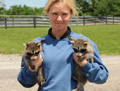https://0901.nccdn.net/4_2/000/000/038/2d3/coons1.jpg