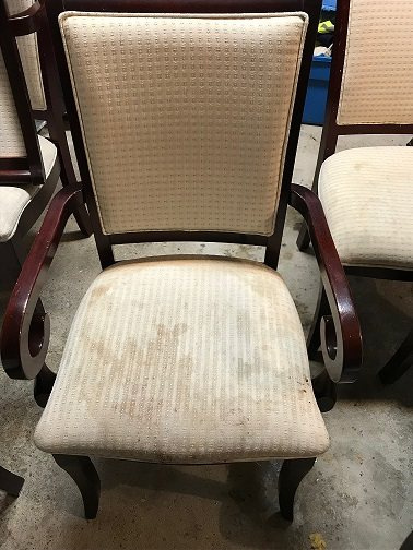 dining chair cleaning
