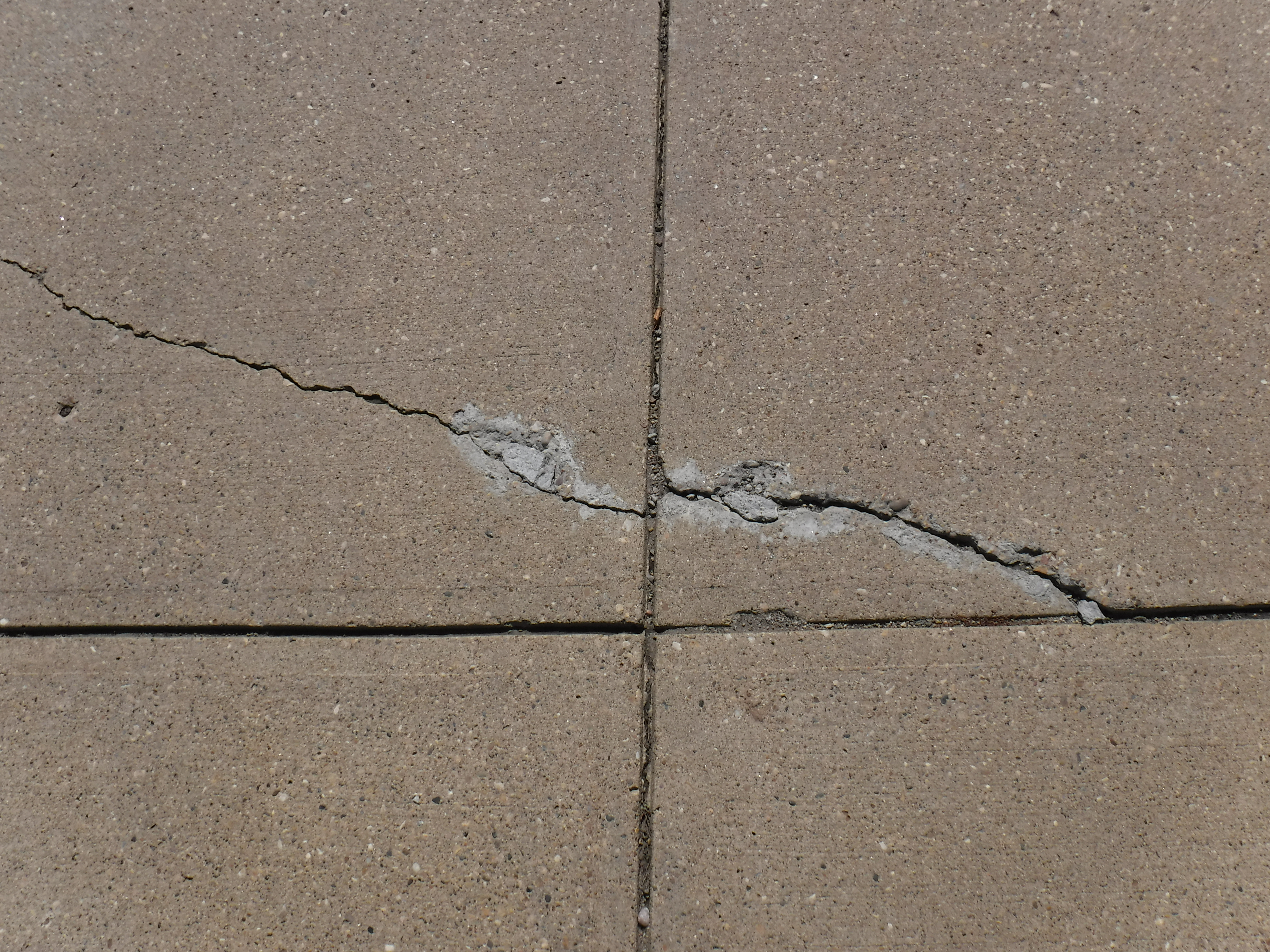 Cracked Cement Driveway