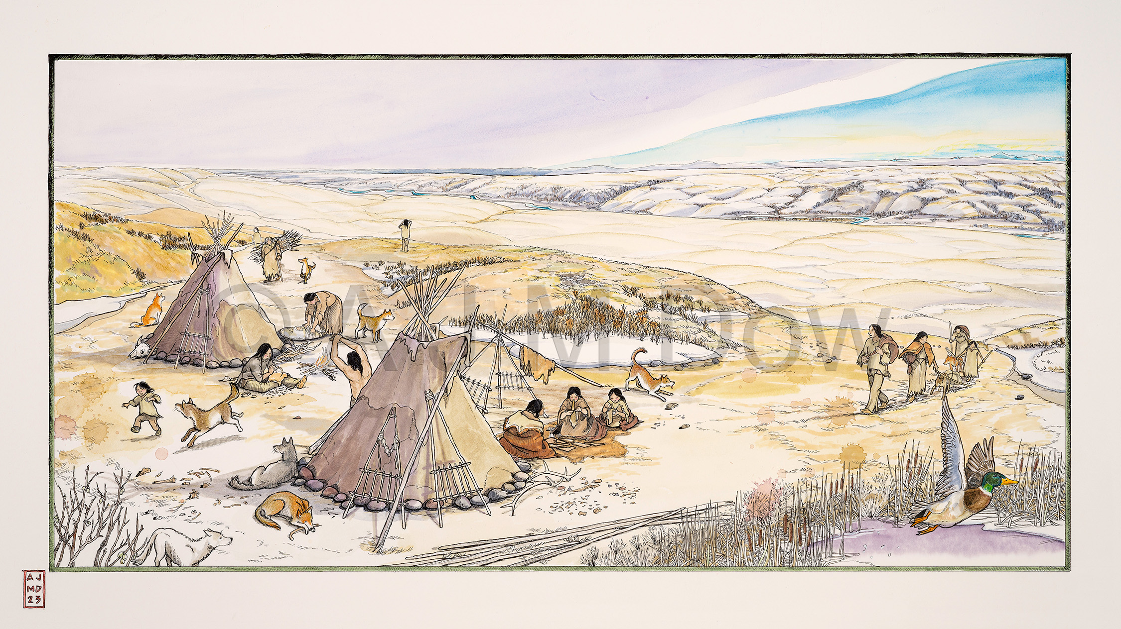 "Nose Hill Campsite" Commissioned illustration for City of Calgary Parks.