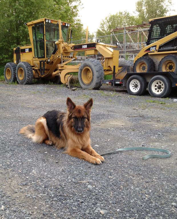 Industrial/Commercial - Grade-ex Earth Works Ltd.