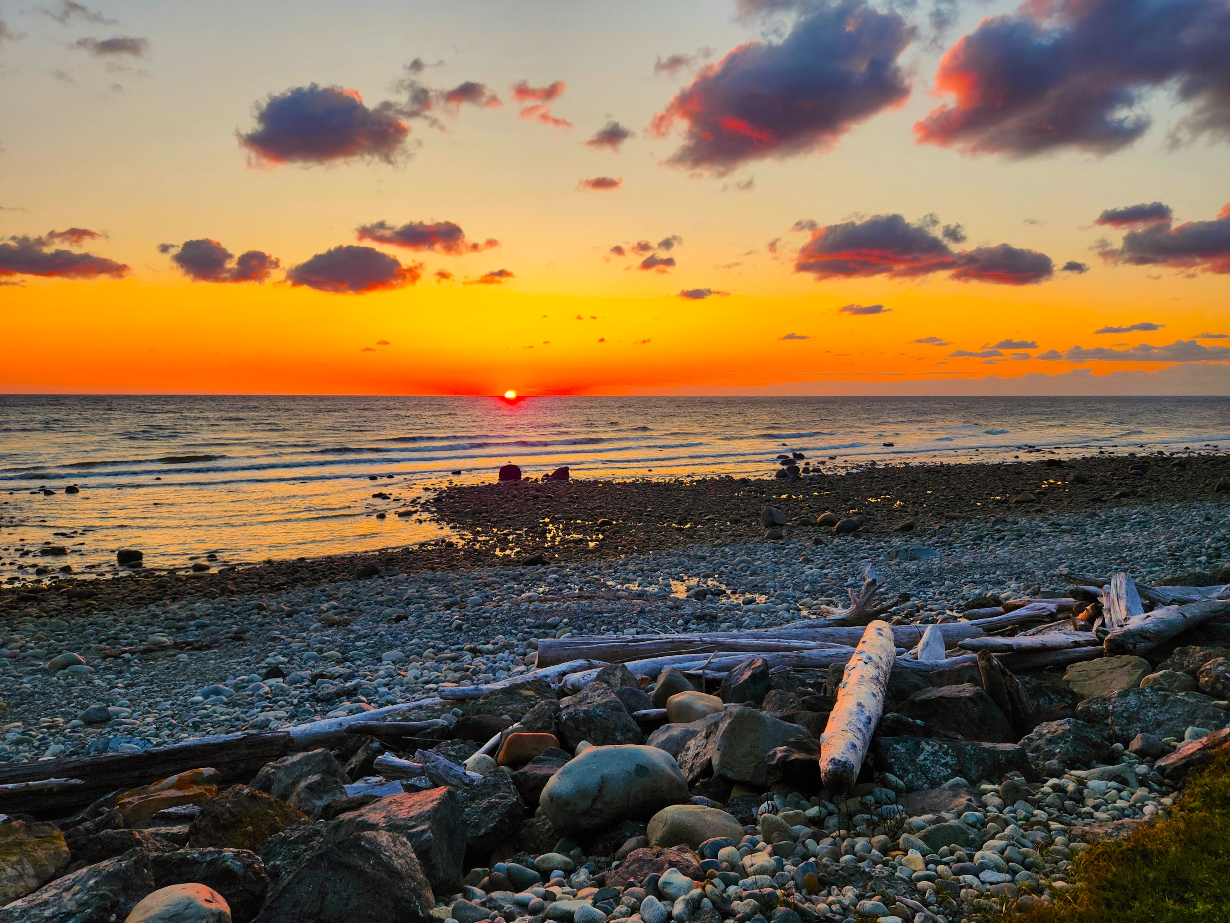 https://0901.nccdn.net/4_2/000/000/038/2d3/haida-gwaii.jpg