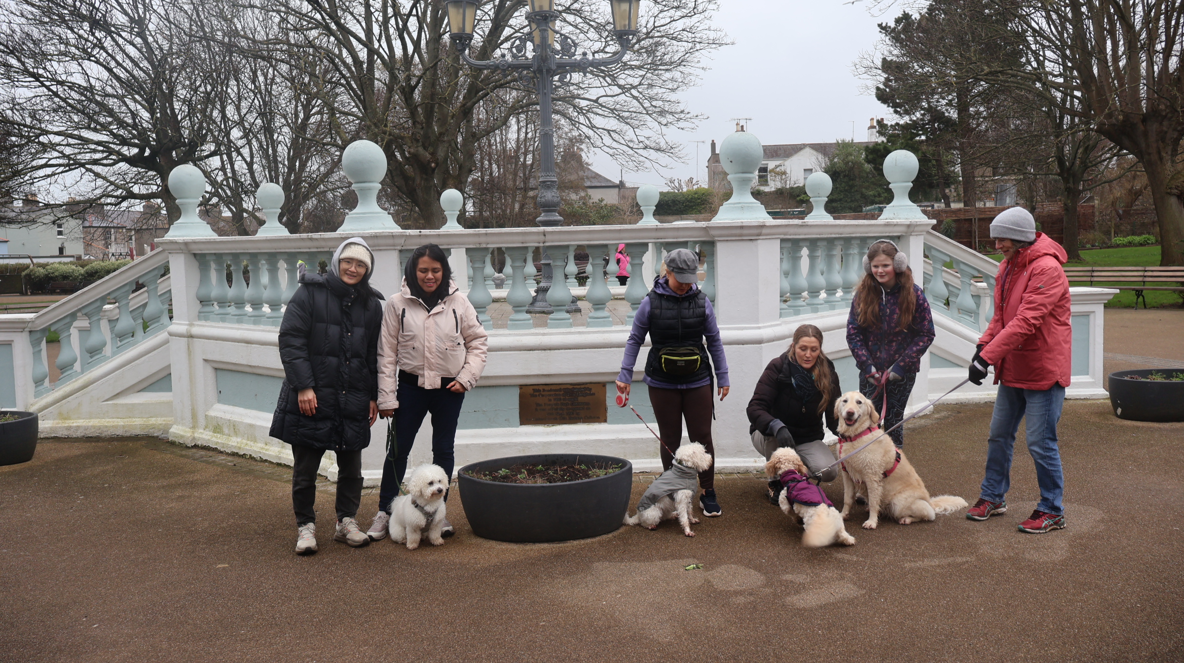 Black and tan dog standing in an arched stone opening of a weathered wall. Black and tan dog standing in an arched stone opening of a weathered wall.