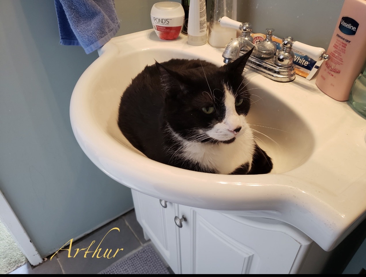 Arthur