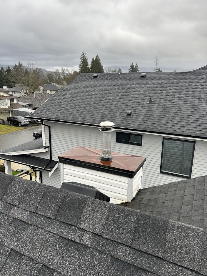 Chimney leaking water
