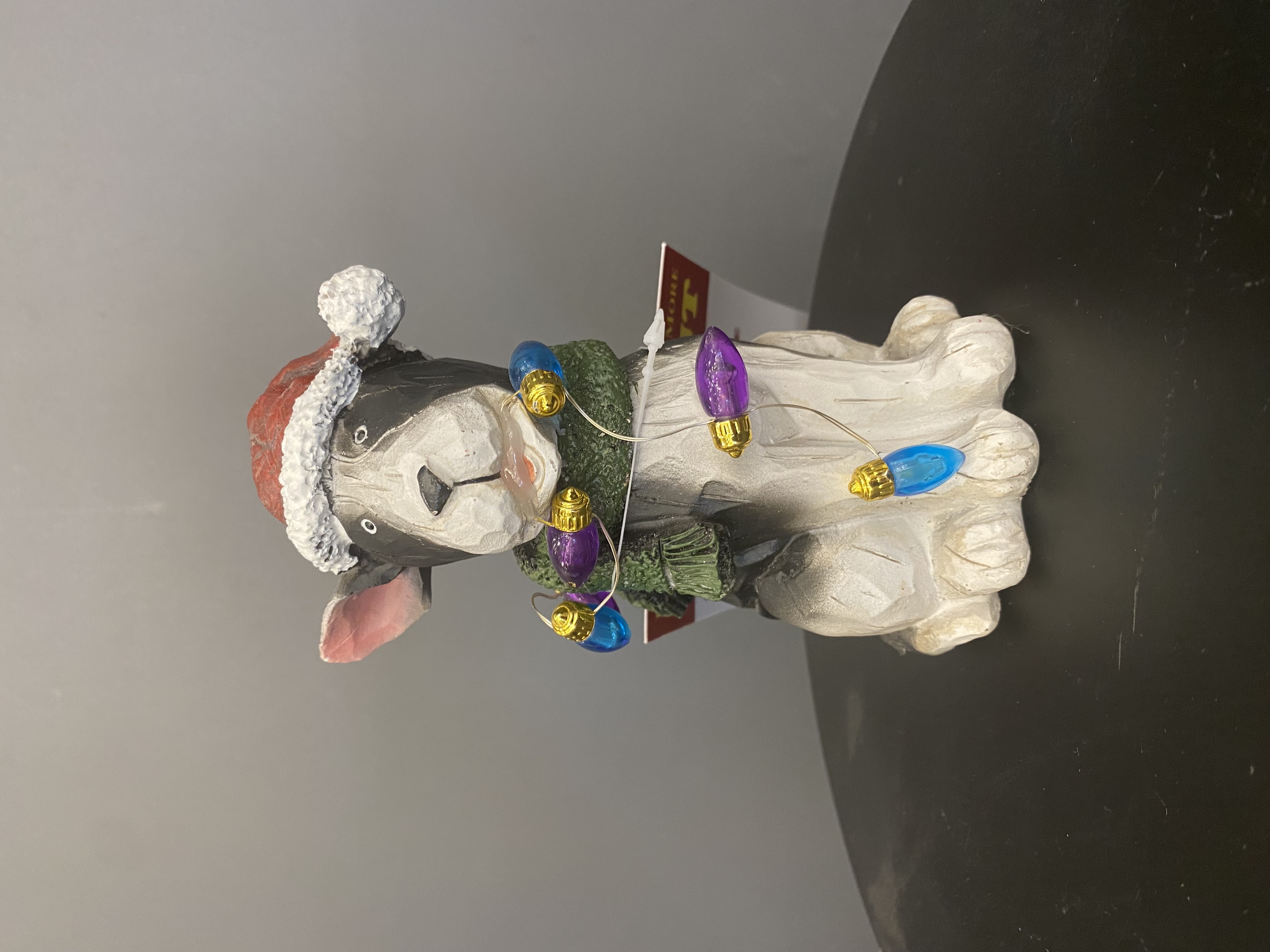 508 BSD217S
Light Up Dog 
Regular $22.99
Blowout $11.49 no tax 