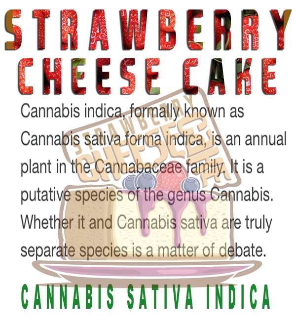 https://0901.nccdn.net/4_2/000/000/038/2d3/indica--randy-kandy-gosexyca-600x660.jpg