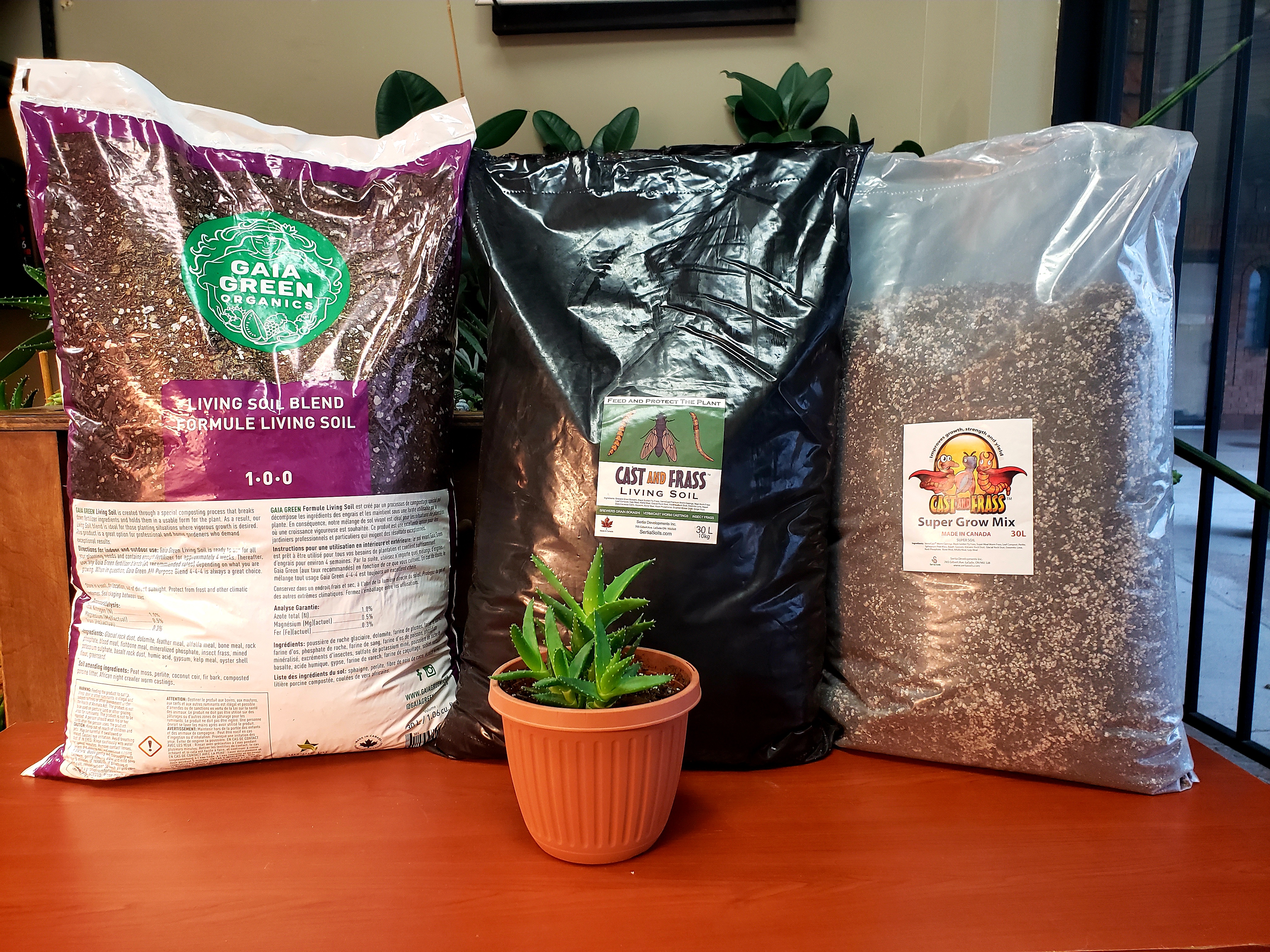 https://0901.nccdn.net/4_2/000/000/038/2d3/living-soil.jpg