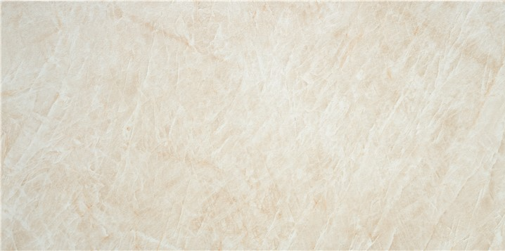 Majesty Beige matte 24" x 48"