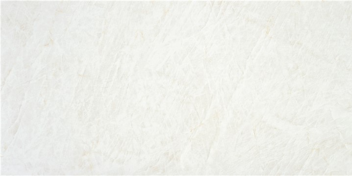 Majesty White matte 24" x 48"