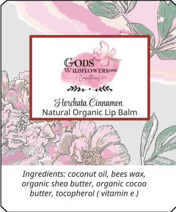 https://0901.nccdn.net/4_2/000/000/038/2d3/organic-lip-balm-horchata-cinnomin.png