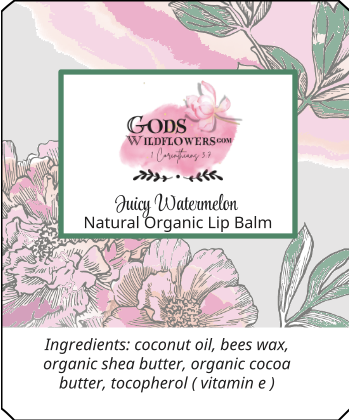 https://0901.nccdn.net/4_2/000/000/038/2d3/organic-lip-balm-juicy-watermelon.png