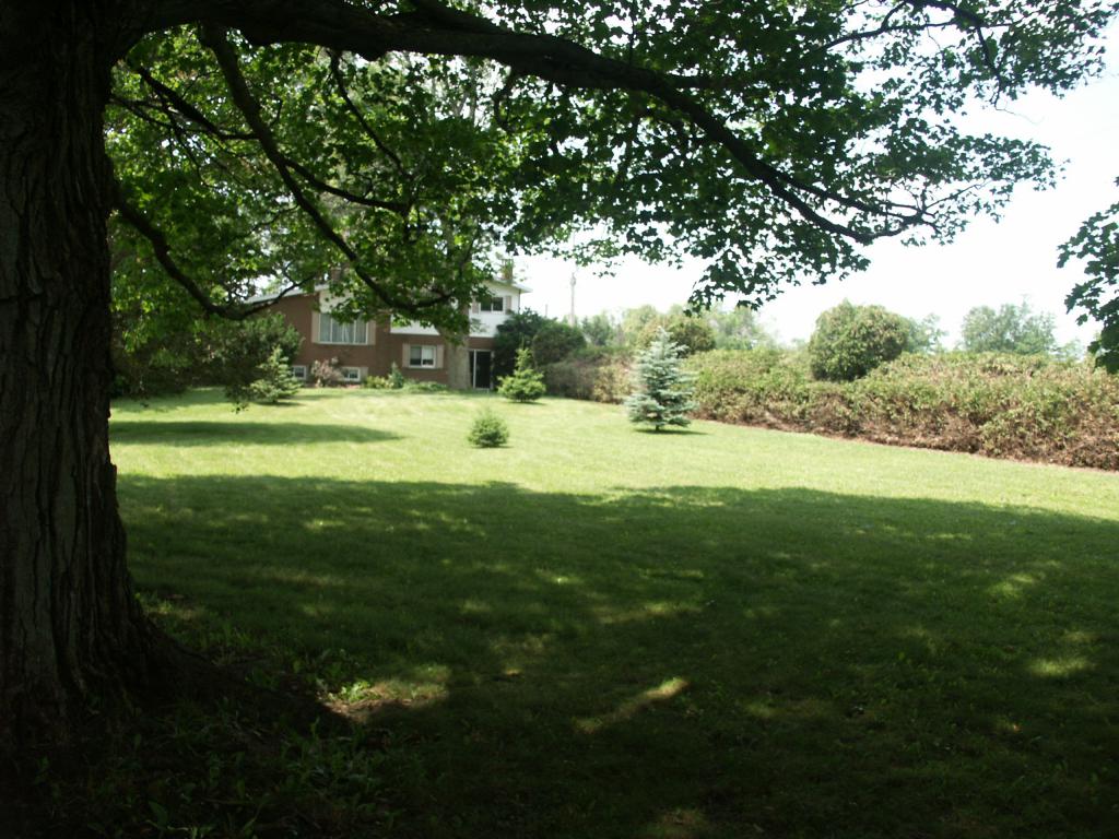 https://0901.nccdn.net/4_2/000/000/038/2d3/pict0071.jpg