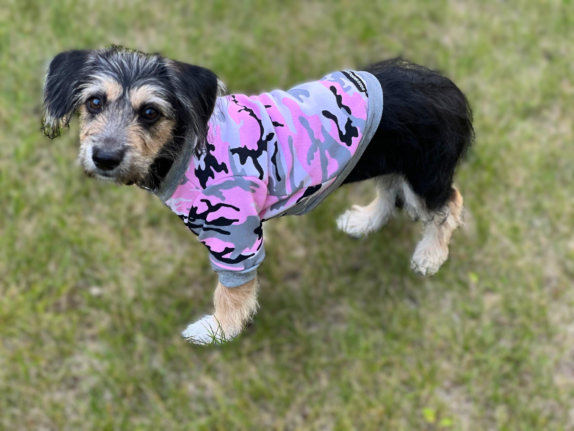 Camo Sweatshirt - Pink