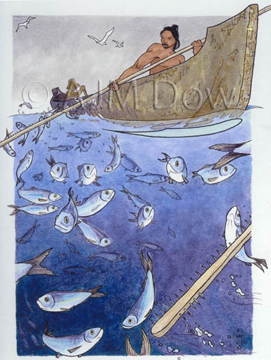 Herring Raking