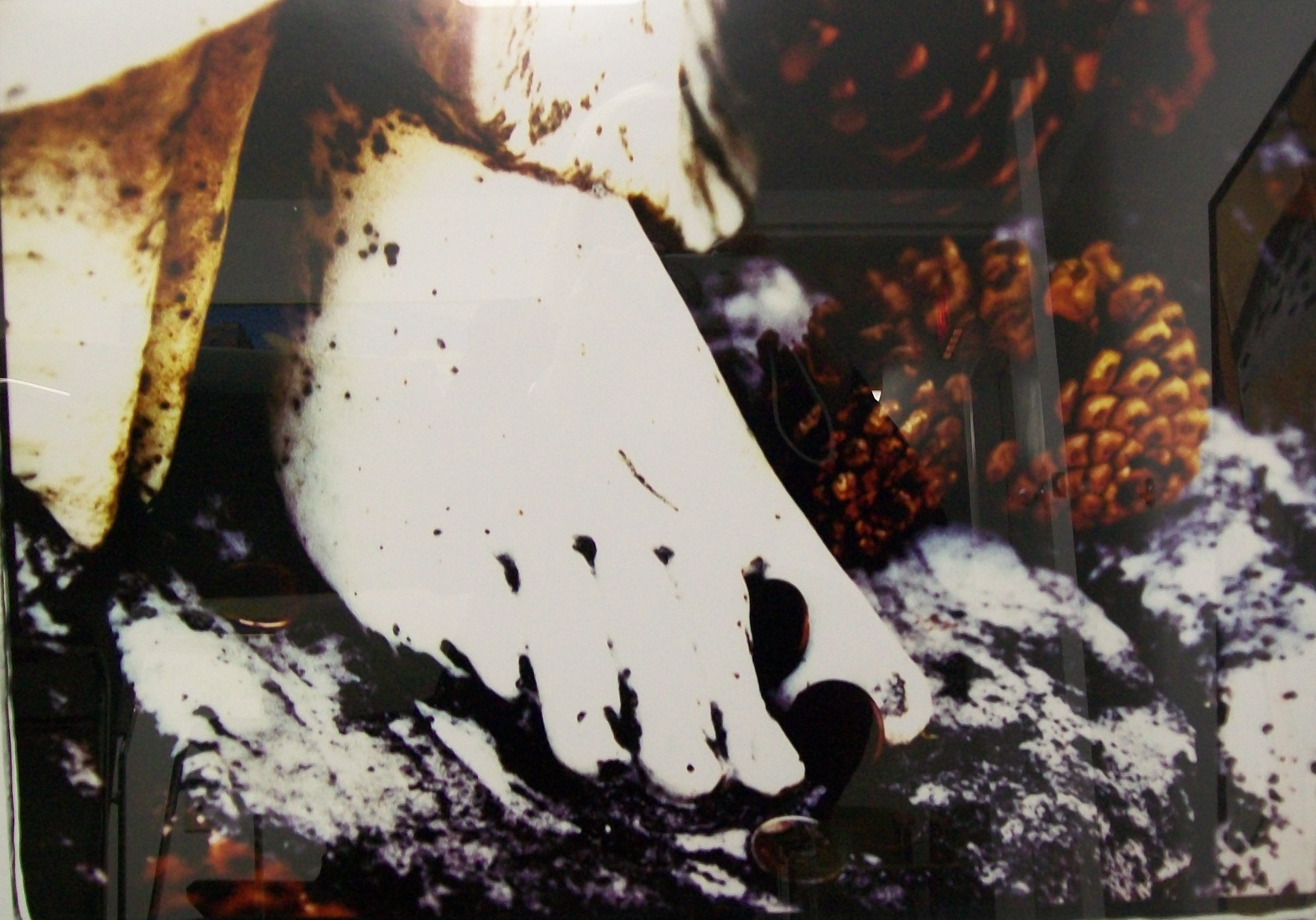 Ester Rausenberg, Token, Digital Print, 2008, 20x24"