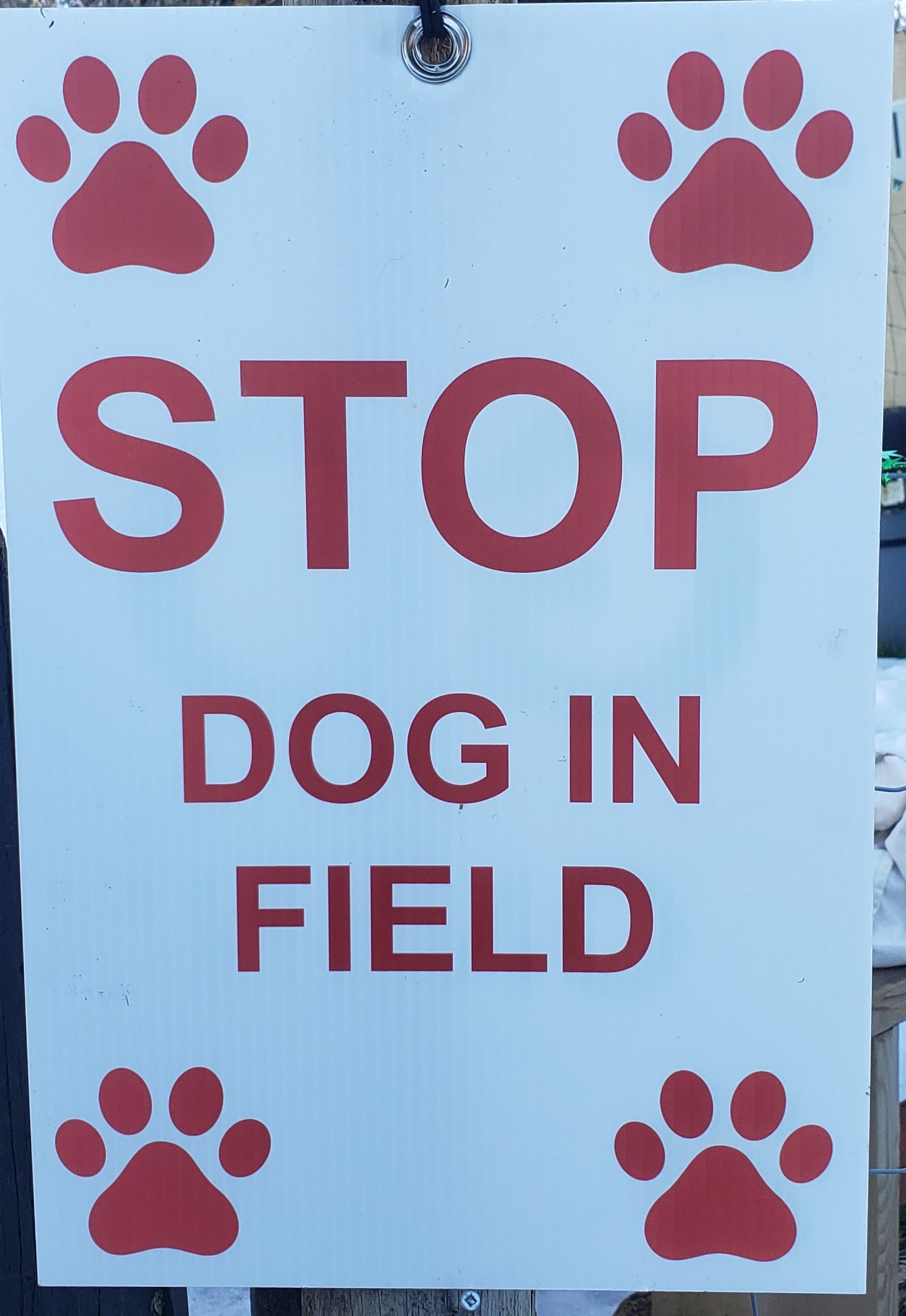 https://0901.nccdn.net/4_2/000/000/023/130/go.jpg