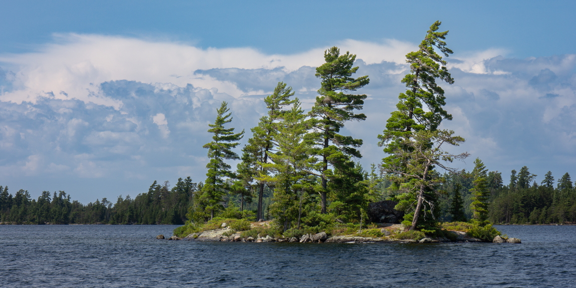 "On The Lake"
Limited Edition Print