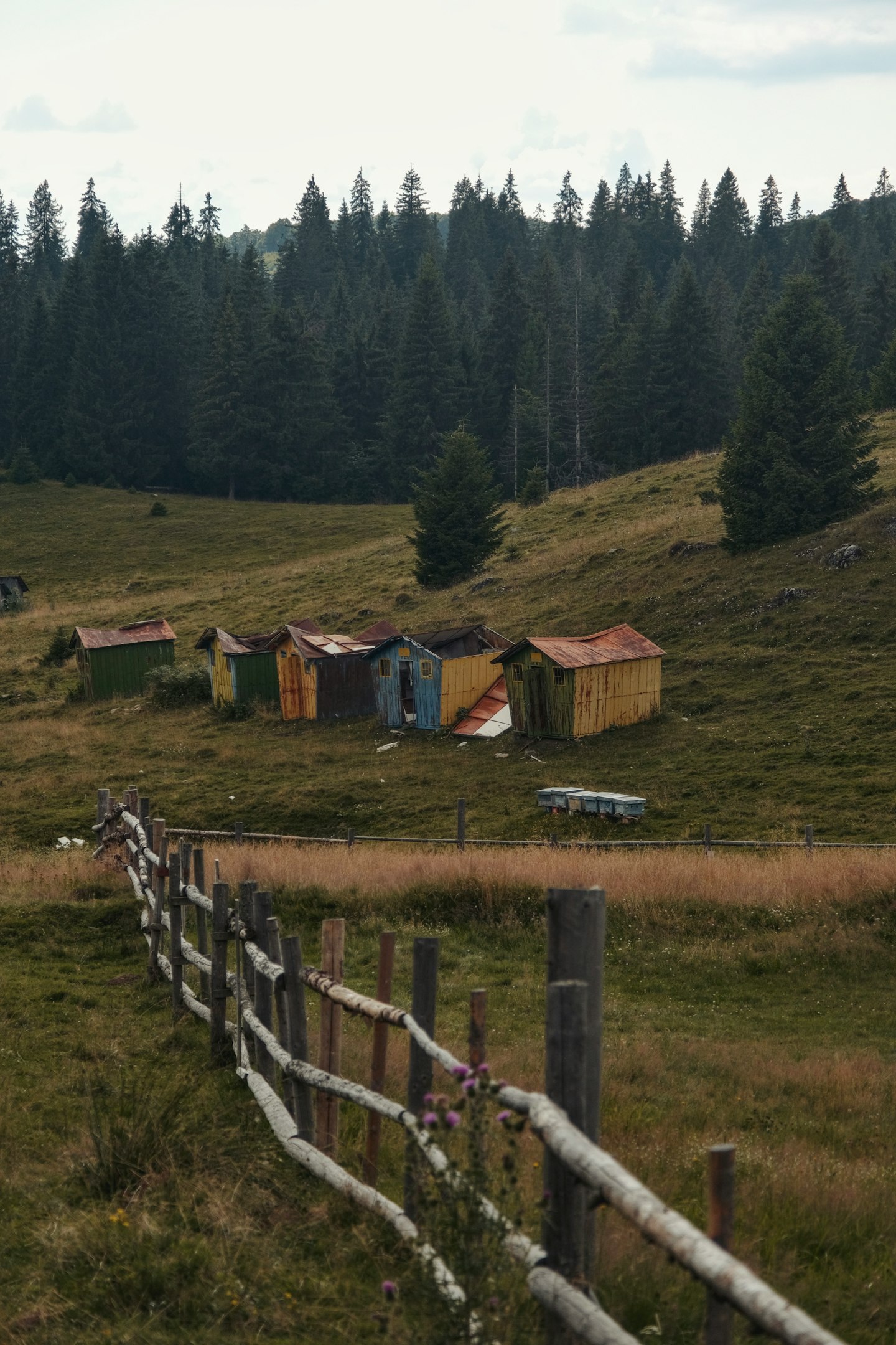 A fence is in front of a grassy field