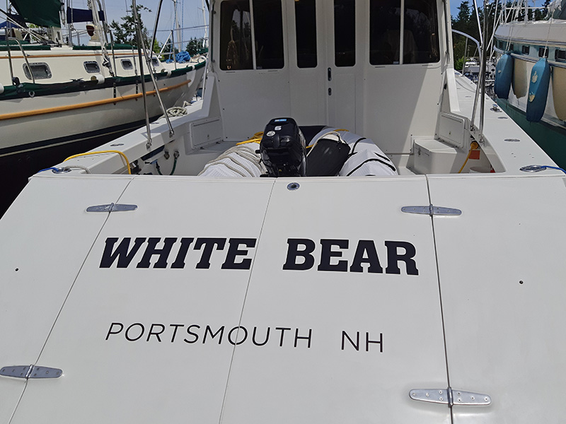 https://0901.nccdn.net/4_2/000/000/038/2d3/white-bear.jpg